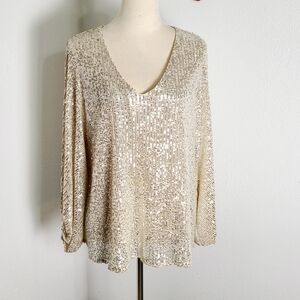 Vine & Love Champagne Sequin V-Neck Blouse with Bubble Sleeves, Size Medium